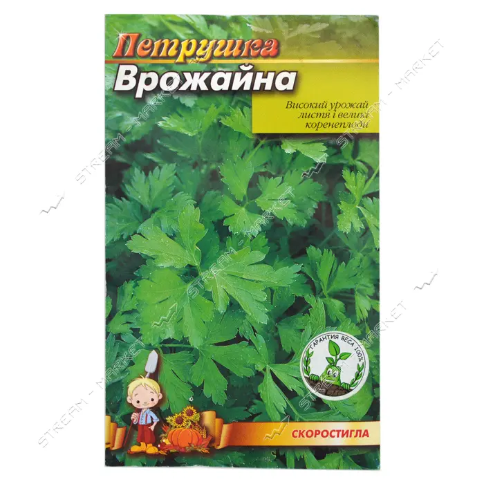 Семена петрушки Урожайная 3гр