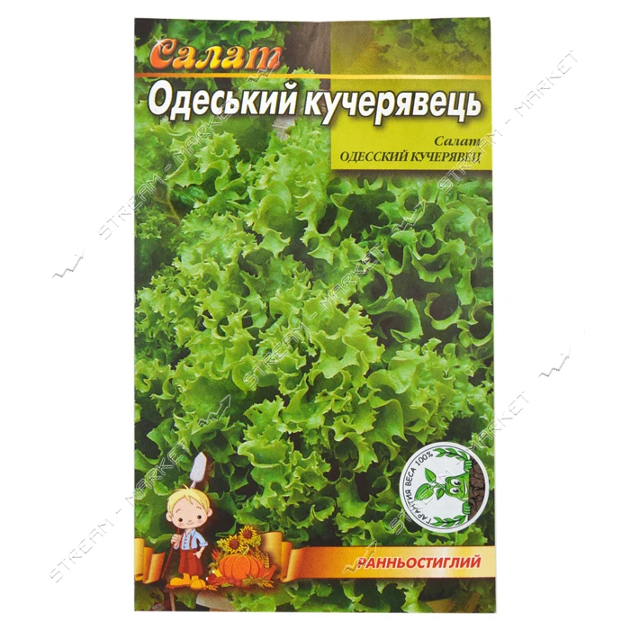 Семена салата  Одесский кучерявец 1гр                                                               