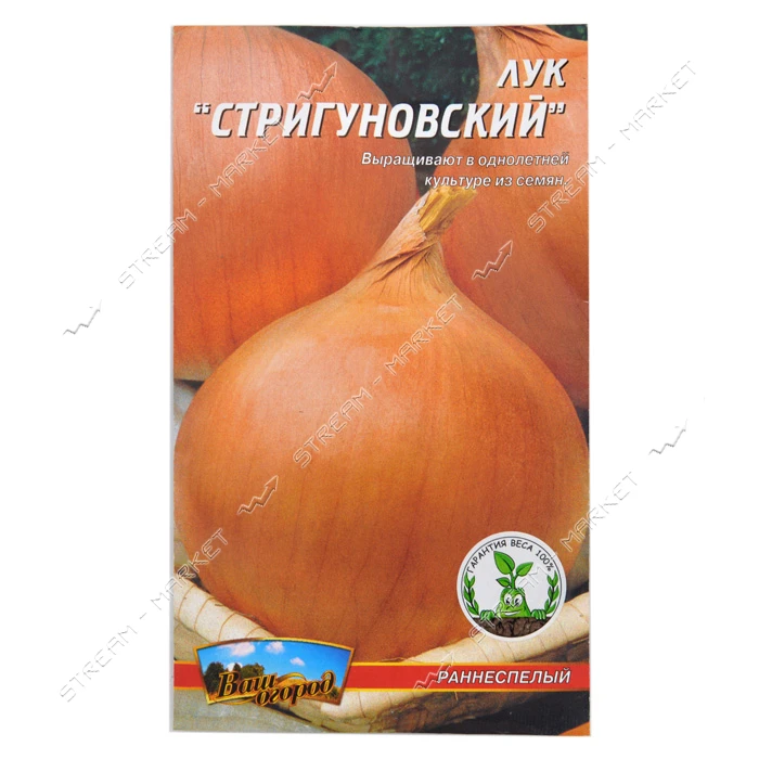 Семена лука Стригуновский 3гр