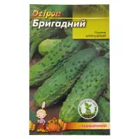 Семена огурцов Бригадный евро пакет 1гр 20шт                                                        
