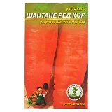 Насіння моркви Шантане Ред Кор 4гр