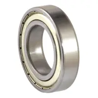 Подшипник шариковый ASR радиальный 80107 6007 ZZ                                                    