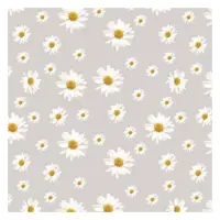 Клеенка для стола Dariana E555-1 1.35х30м силикон                                                   