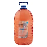 Омыватель для стекла Vitol демисезонный -5 5л Дюшес