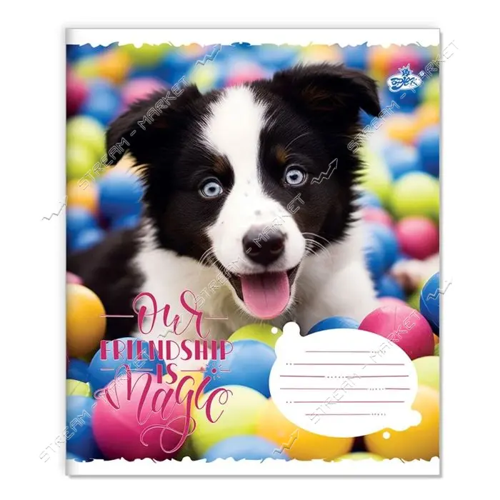 Тетрадь в клетку ТВ-108 Мiй друг 2555 5 дизайнов 18листов