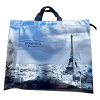 Эко-сумка на змейке ламинированная Paris 42х35х12см серебряная                                      