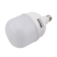 Лампа светодиодная Techno Systems LED Bulb T100-30W-E27-220V-6500K-2700L ICCD                       
