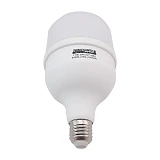 Лампа светодиодная Techno Systems LED Bulb T100-30W-E27-220V-6500K-2700L ICCD                       