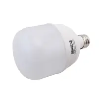 Лампа светодиодная Techno Systems LED Bulb T120-40W-E-27/E40-220V-6500K-3600L ICCD                  