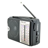 Радиоприемник Golon RX-606 AC