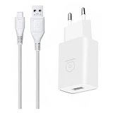 Сетевое зарядное устройство WUW T28 2.1A 1USB плюс кабель Type-C белое