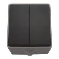 Выключатель для открытой установки Techno Systems Surface 2-клавишный IP54                          