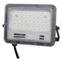 Прожектор Techno Systems LED 30W GOLDEN Slim 220V 3300Lm 6500K IP65                                 
