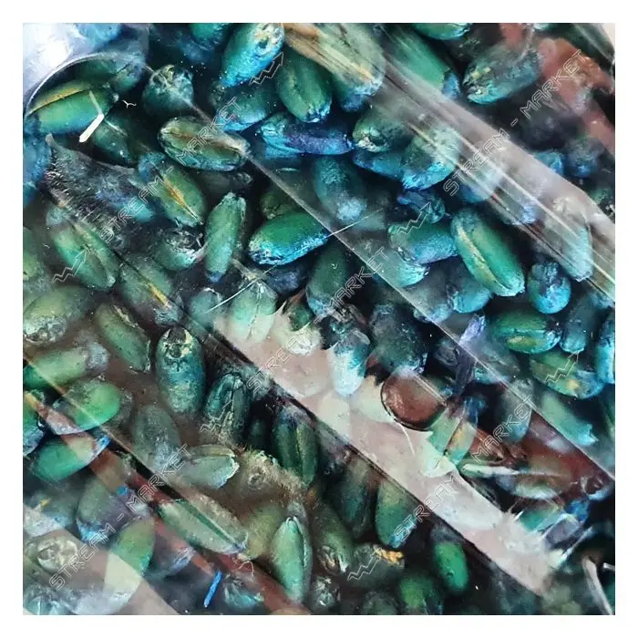 "Бродифакум" ЗЕРНО в банке для уничтожения грызунов 400 гр. Со вкусом сыра (Украина)