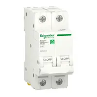 Автоматический выключатель двухполюсный Schneider RESI9 40А С 6kA                                   
