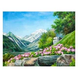 Картина по номерам J.Otten 3178 Горные цветы 40х50см