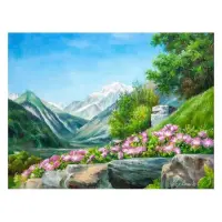 Картина по номерам J.Otten 3178 Горные цветы 40х50см