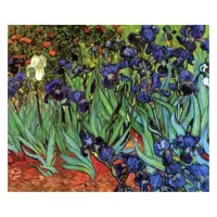 Картина по номерам J.Otten 8201 Ирисы 40х50см