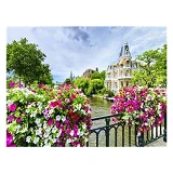 Картина по номерам J.Otten 8412 Цветы 40х50см