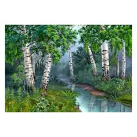 Картина по номерам J.Otten 5315 Березы 40х50см