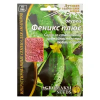 Семена огурцов Агромакси Феникс Плюс 4г                                                             