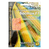 Семена кукурузы Агромакси Бостон F1 20г                                                             