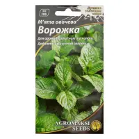 Семена мяты овощной Агромакси Ворожея евро пакет 0.05г                                              