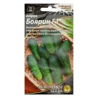 Семена огурцов Агромакси Барин F1 0.25г                                                             