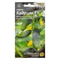 Семена огурцов Агромакси Кадриль F1 0.25г                                                           