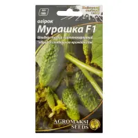 Семена огурцов Агромакси Мурашка F1 0.25г                                                           