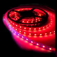Светодиодная лента ECO smd 3528 60 Led/m DC 12 4 8 W/m IP65 красный                                 