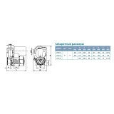 Станция Aquatica Leo 776111 0.125кВт Hmax 30м Qmax 30л/мин вихревой насос 1л                        