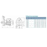 Насос центробежный поверхностный Aquatica Leo 3.0 775263 0.75кВт Hmax 35м Qmax 100л/мин