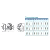 Насос центробежный поверхностный Aquatica Leo 3.0 775517 1.1кВт Hmax 30.2м Qmax 160л/мин нержавейка