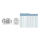 Насос центробежный поверхностный Aquatica Leo 3.0 775519 0.75кВт Hmax 16.8м Qmax 300л/мин нержавейка
