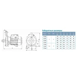 Насос центробежный поверхностный Aquatica Leo 3.0 775260 0.25кВт Hmax 17м Qmax 80л/мин