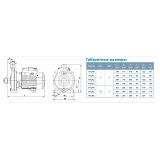 Насос центробежный поверхностный Aquatica Leo 3.0 775261 0.37кВт Hmax 23м Qmax 90л/мин