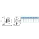Насос центробежный поверхностный Aquatica Leo 3.0 775276 0.6кВт Hmax 12.5м Qmax 400л/мин 2"