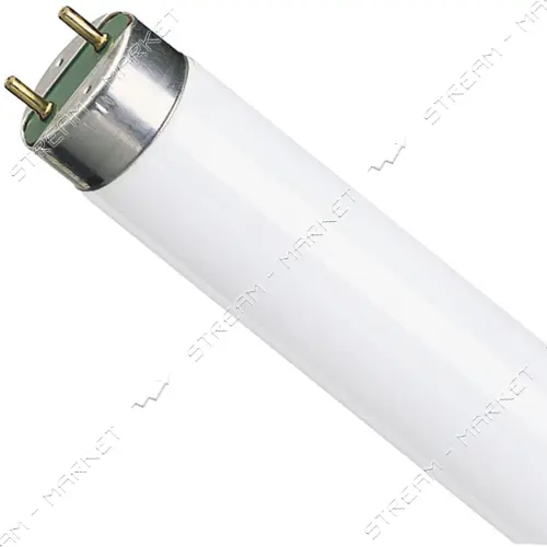 Лампа люминесцентная Philips ЛЛ 18 Вт TL-D 18/54 G13 26 мм стандартная холодная