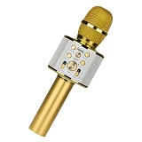 Микрофон Hoco BK3 Cool sound KTV золотой                                                            