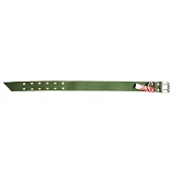 Ошейник Alan для животных 3.5x60см брезент с пряжкой