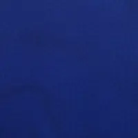 Кожвинил для обивки мебели и дверей дейтона/долларо 1.4м х 55м синий Львов                          