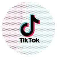 Тарелки Тик Ток праздничные бумажные одноразовые 18см 10шт