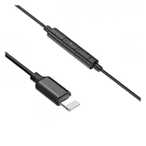 Проводные наушники Baseus P02 lightning Call Digital черные