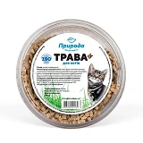 Трава быстрорастущая для кошек Природа                                                              
