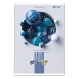 Тетрадь для конспектов Brisk ТВ-27 в клетку А4 96 листов                                            