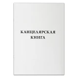 Канцелярская книга КВ-2 в клетку А4 96 листов