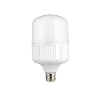 Лампа світлодіодна Delux 90007011 40W Е27 6500К холодний                                            