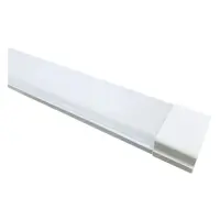 Светильник линейный Flash светодиодный LED плазма 1.2м 56W 4620Lm 6500K матовый                     