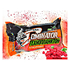 ������������� Dominator Classic 2�90� ������